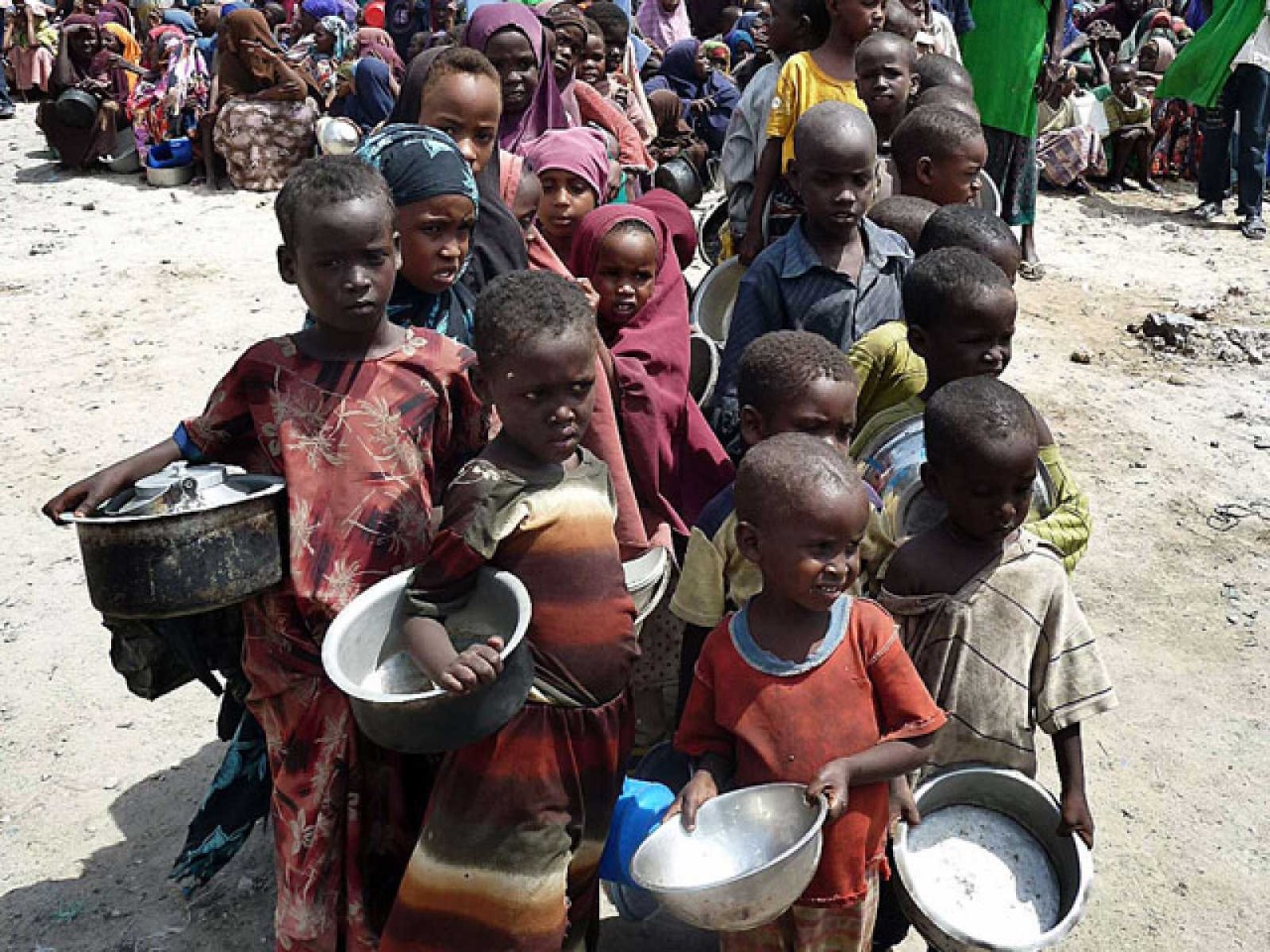 Cuantos Niños Mueren De Hambre En El Mundo