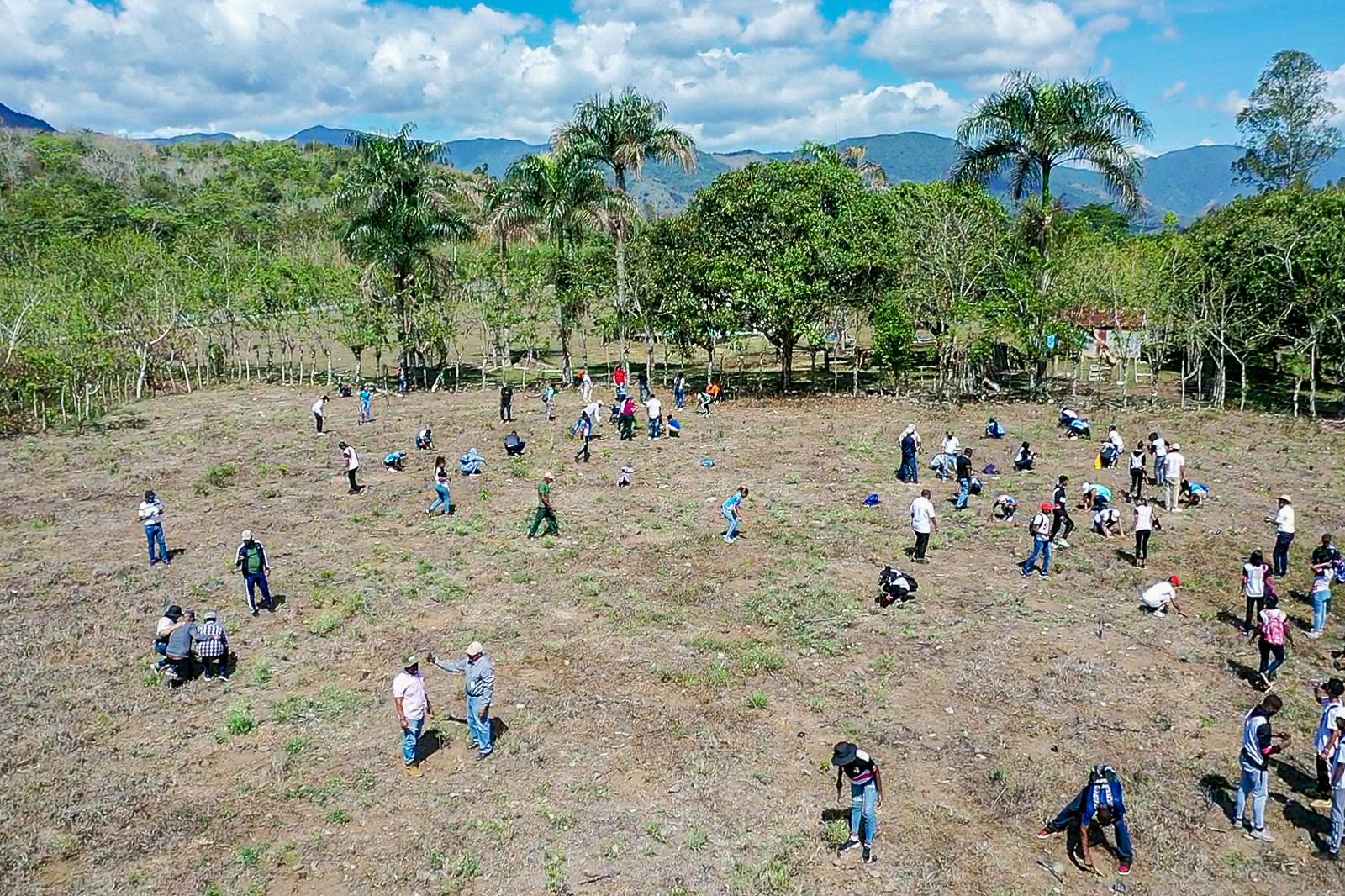 Medio Ambiente realiza jornada de reforestación junto a estudiantes de ...