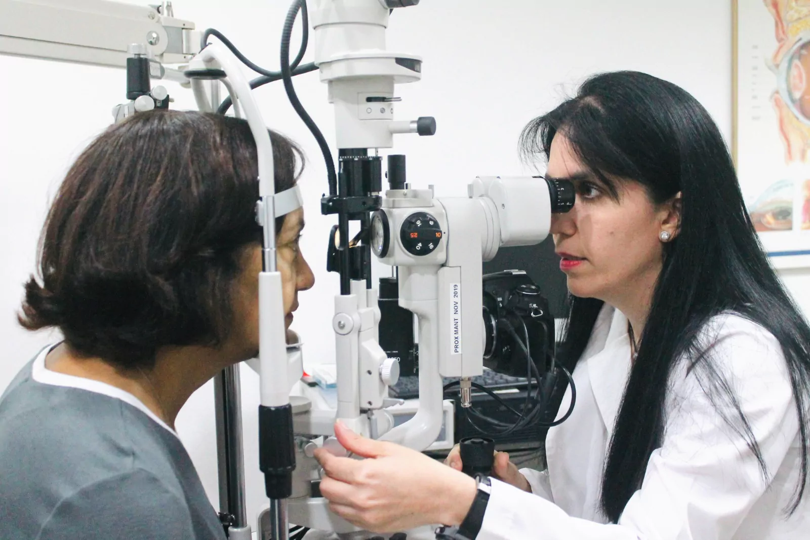 Qué gotas se usan en el tratamiento del Glaucoma? - Global