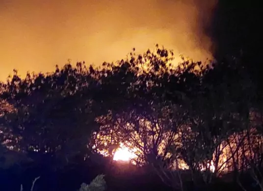 Incendio en San Pedro habría sido causado por calor y vidrios en la zona; ya está sofocado